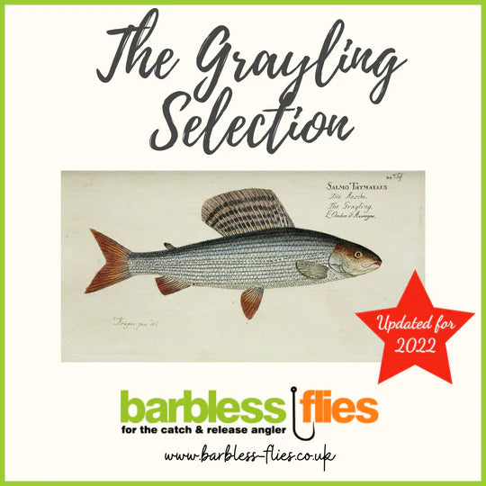 Early Knockings - for Grayling