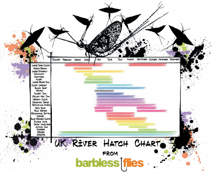 Charting Your Way To Success - Astute Fly Fishing