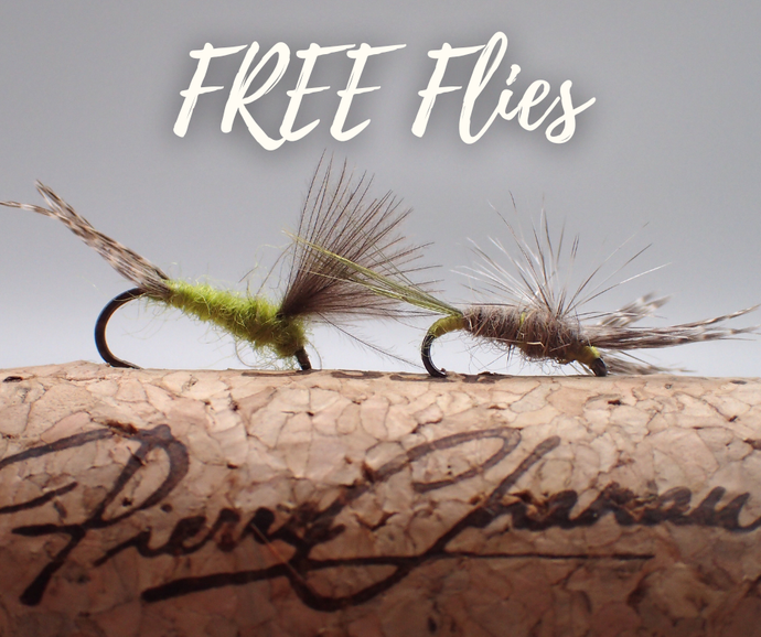 FREE Flies + Fishing in Faster/Higher Water