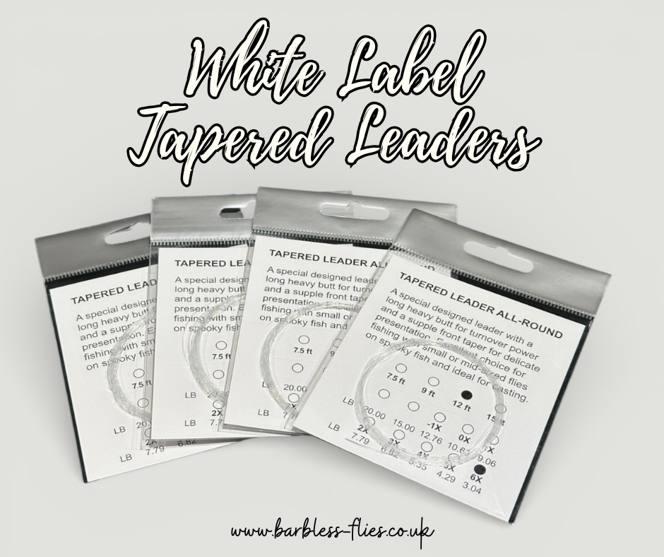 The Pandora's Box Of Fly Fishing - It's On My Desk!