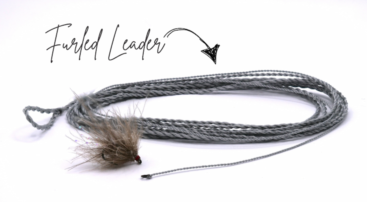 Why You Need A Furled Leader in Your Life