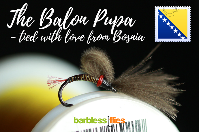 The Bosnian CdC Balon Pupa - Direct from our man on the ground!