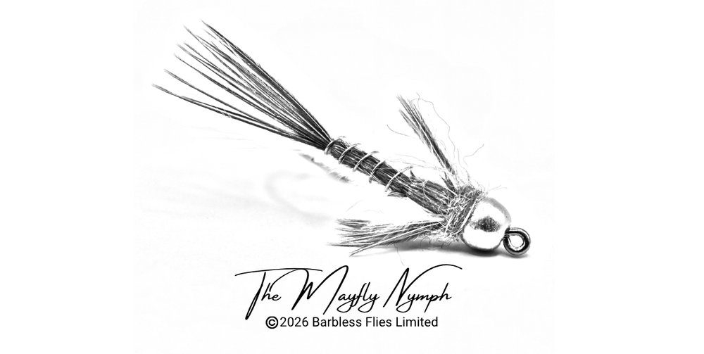The 'Morning' Mayfly - Nymphs & Emergers