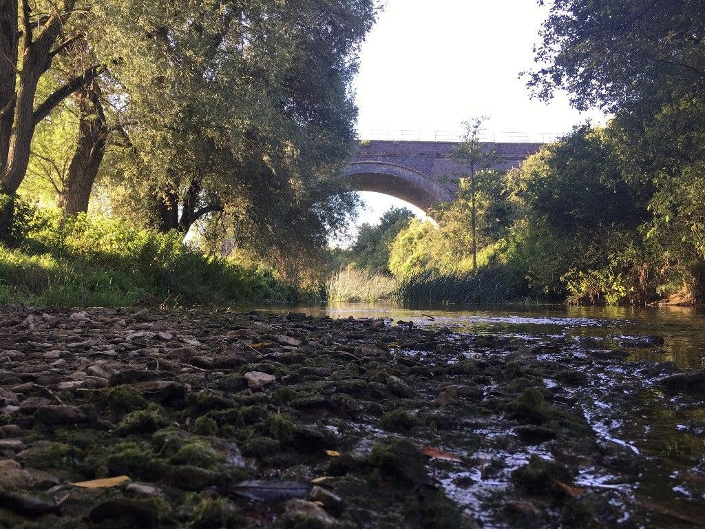 Watch: The River Reveals Its Secrets - Join Me For A Walk