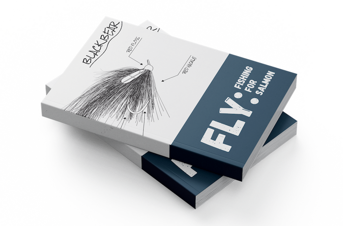 FLY: The Next In Our Book Series - Published Today