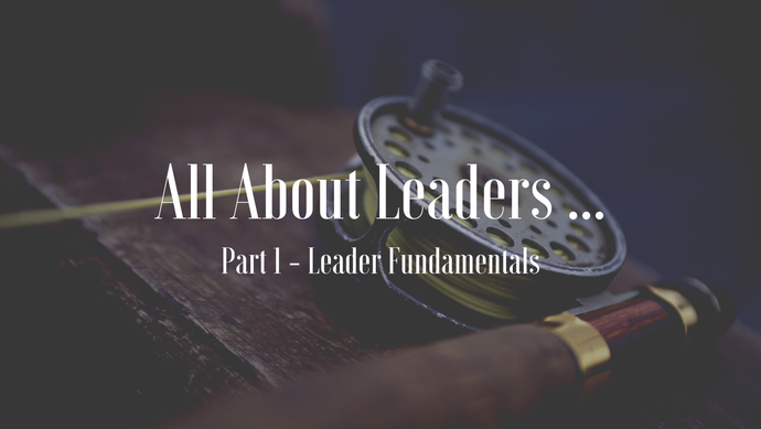 All About Leaders - Part 1 - Leader Fundamentals