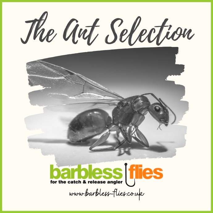 Coming to a water near you ... soon ... Flying Ant Day