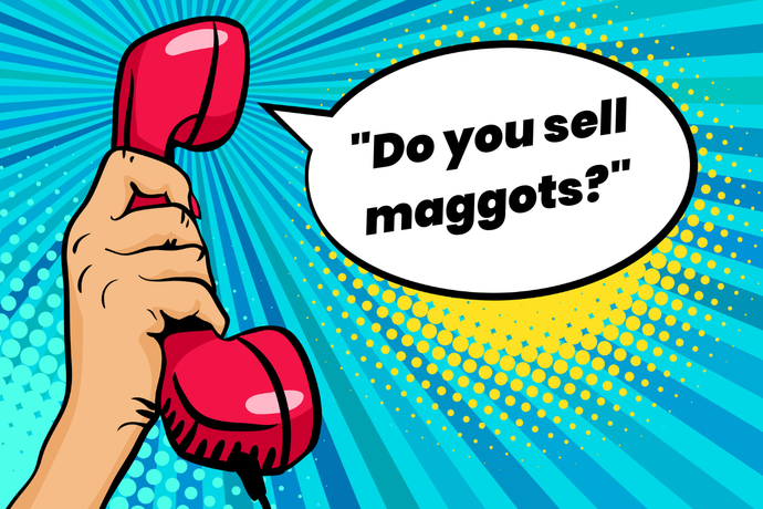 Ring ... Ring ... Hello - Do you sell maggots?