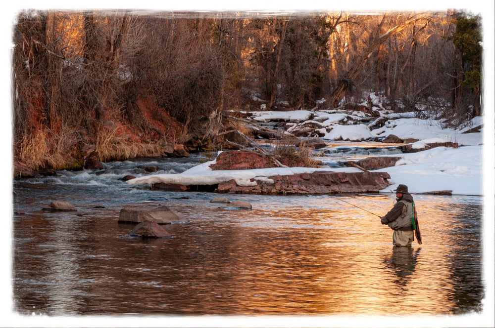 New Year Grayling Success - The Basics