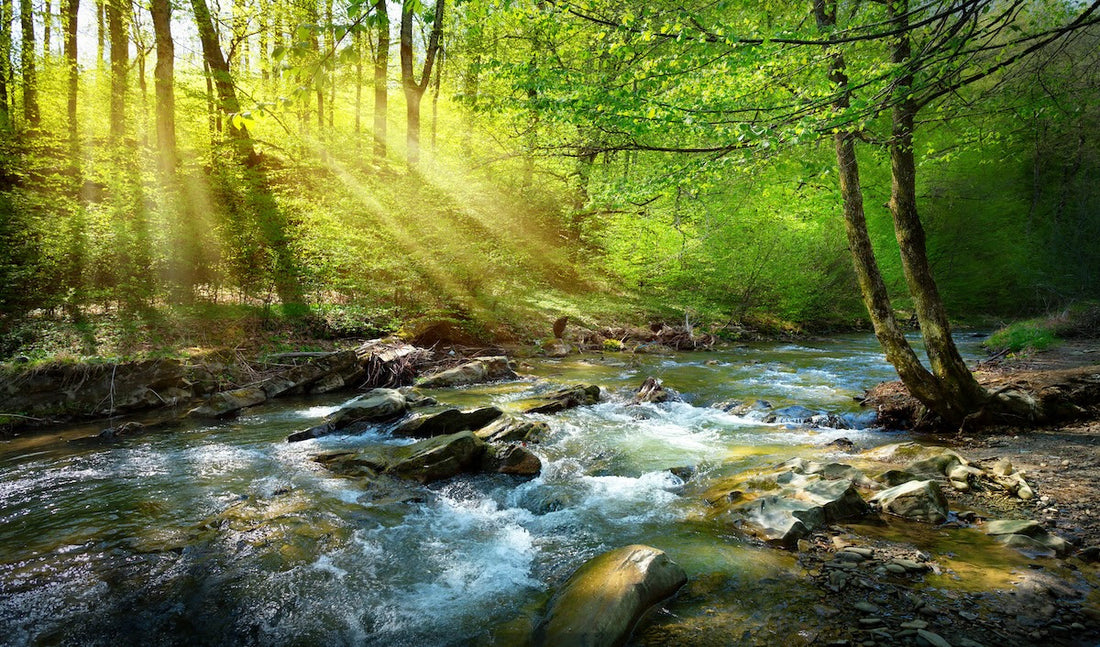 Fleeting Fly Fishing Fame - We Love An Alliteration