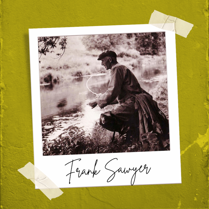 Flies That Were Too Good At Their Job - The Killer Bugs