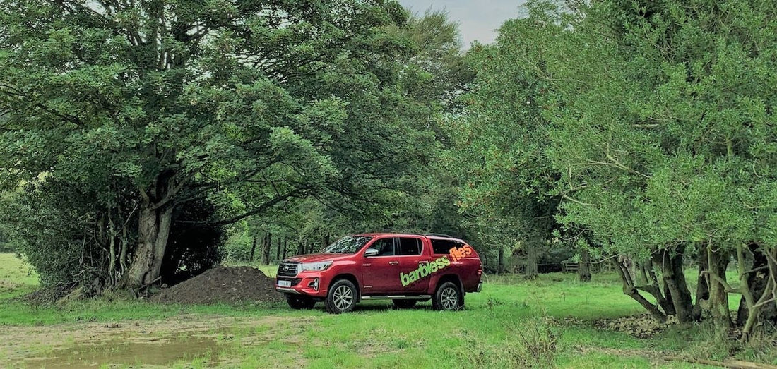 Fancy a bit of 'parkin'?