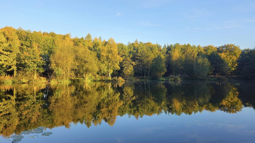 Early Autumn - It's Prime Stillwater Time
