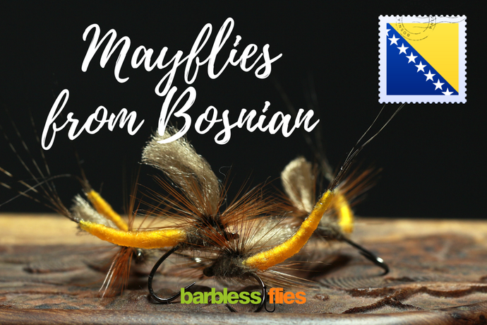 Bosnian Mayflies - Direct from our man on the ground!