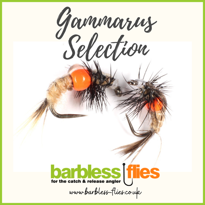 Pimped Shrimps - The forgotten Grayling pattern