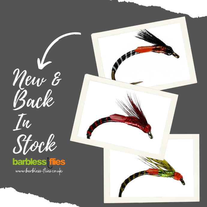 Adult Emerging Buzzers - New In & Back By Popular Demand