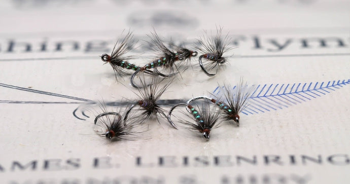 The Leisenring & Hindy Effect - The Ascending Flymph