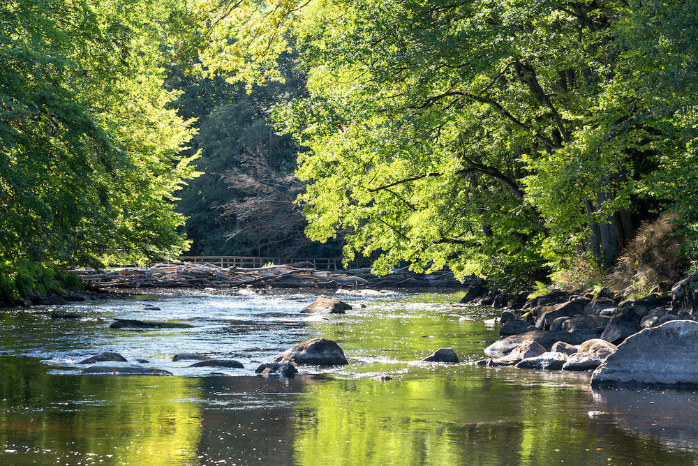 In search of those elusive Warm Weather Trout ...