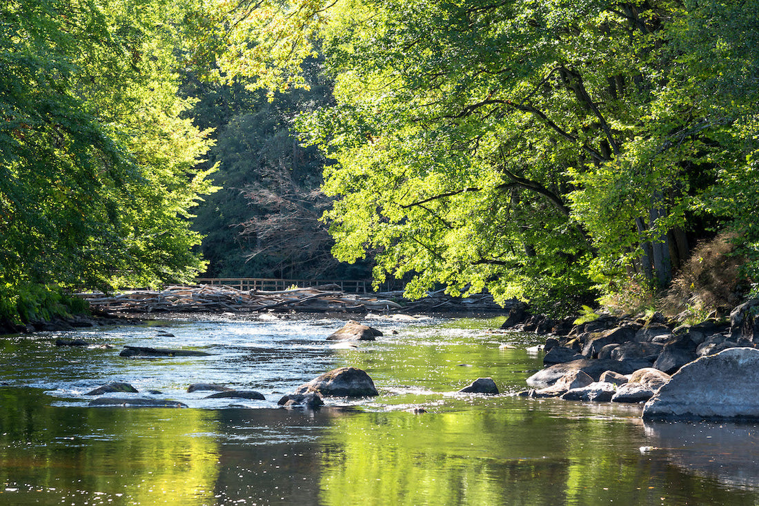 In search of those elusive Warm Weather Trout ...