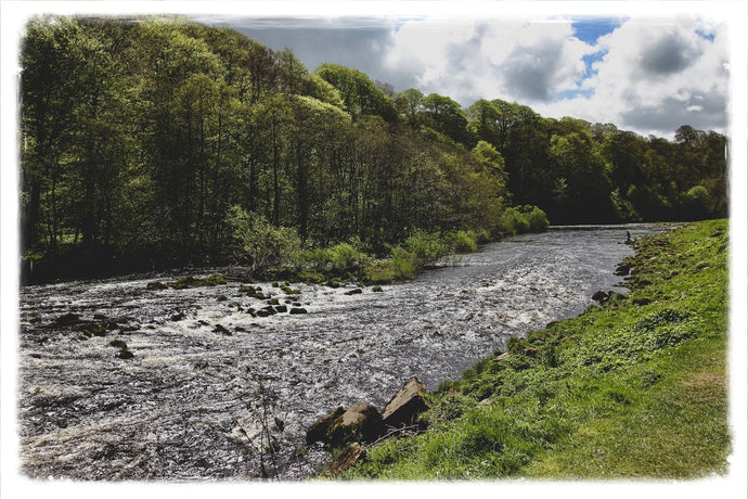 Very Late Trout & Early Grayling Tactics - Swing Some Spiders