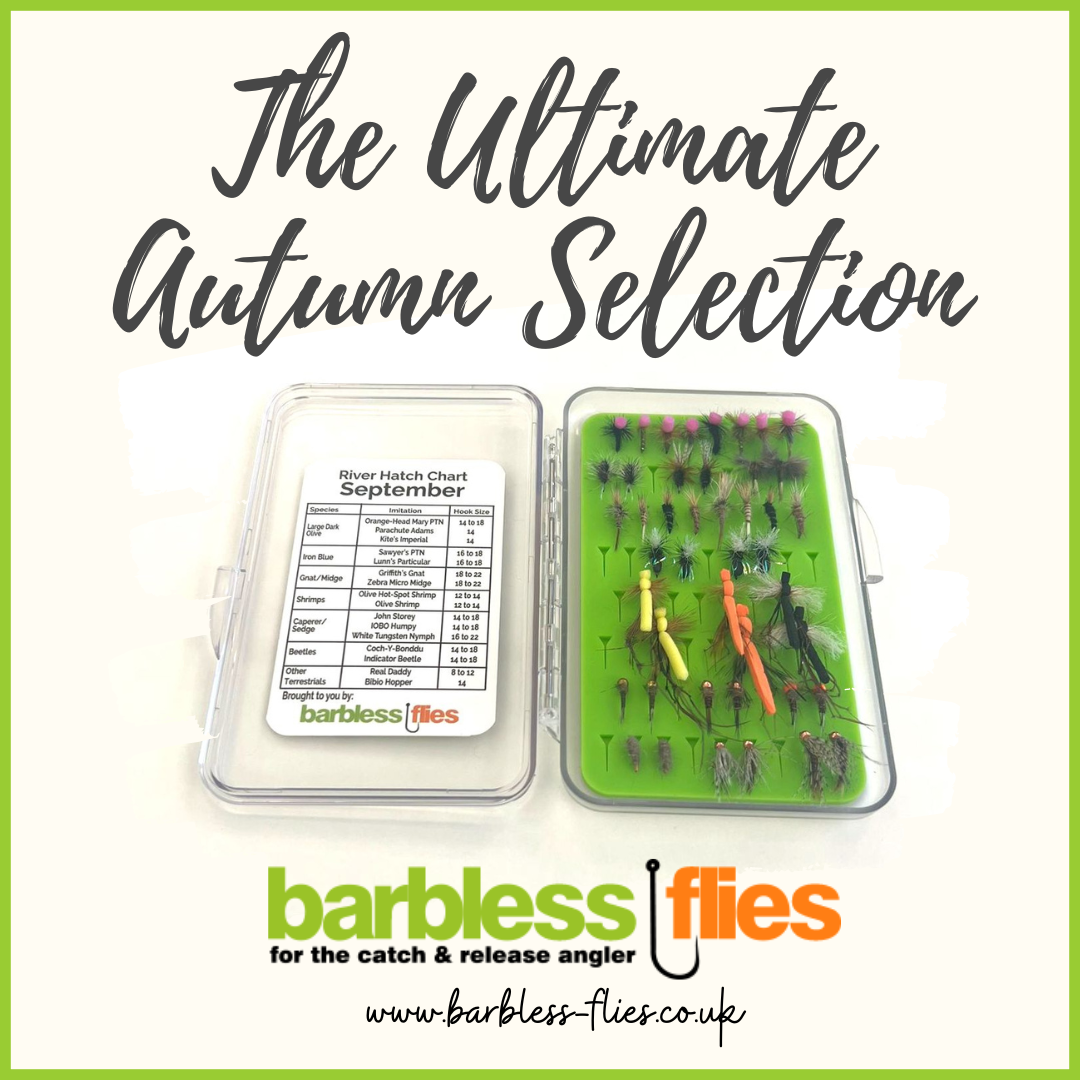 Ultimate Autumn Flies - Curated For Late Season Success