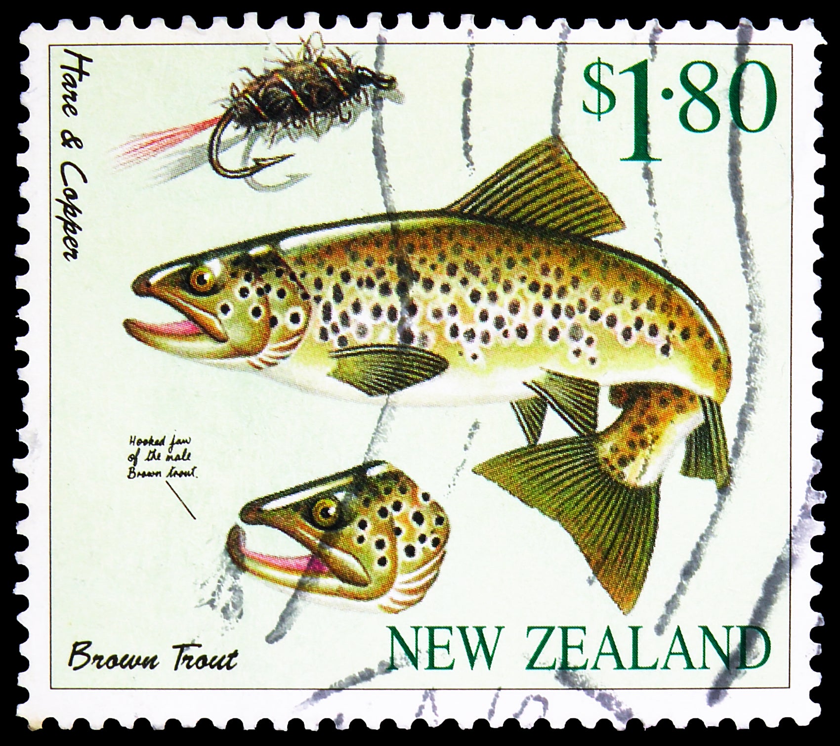 Stillwater Trout Lure Individuals