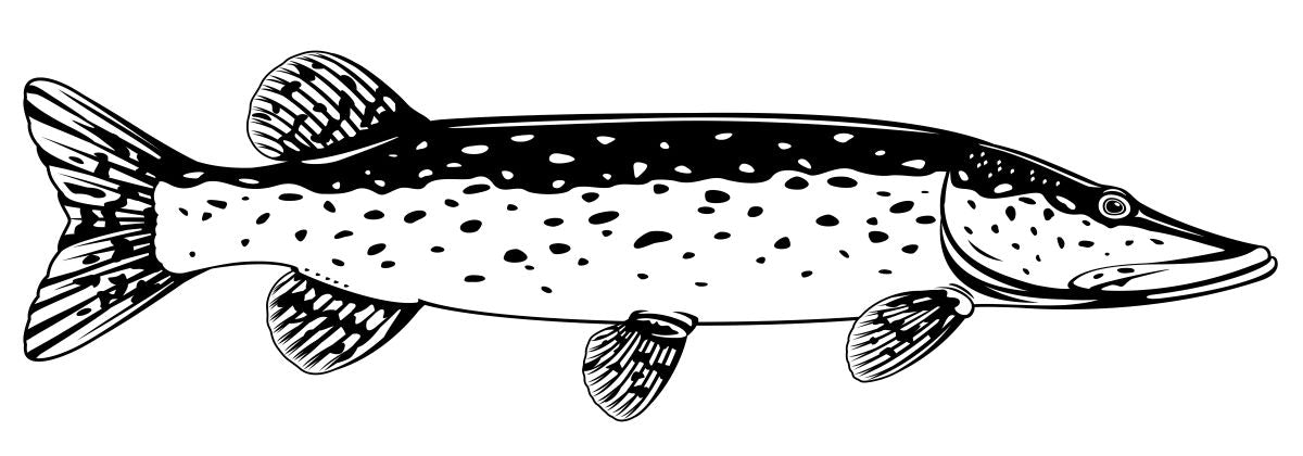 Flies for Pike