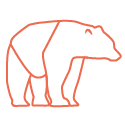 Bear Flyfishing