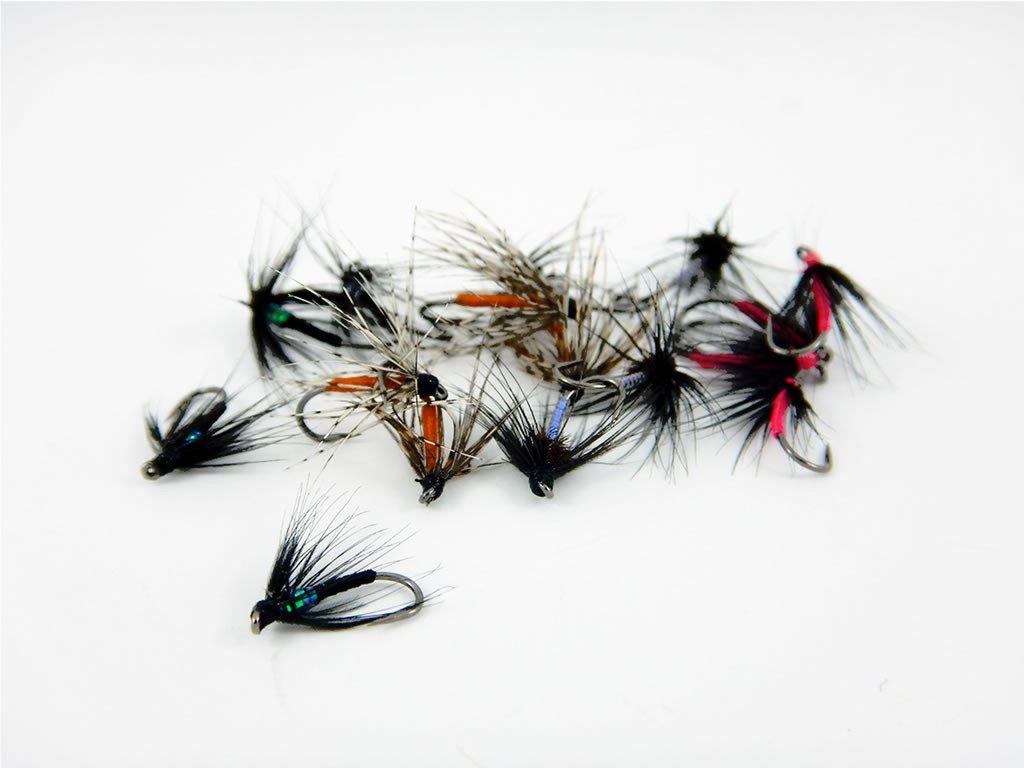 Trout Selections