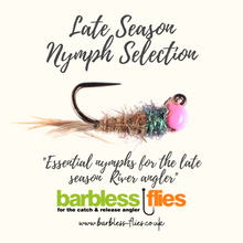 Load image into Gallery viewer, Late (and Early) Season Nymph Selection
