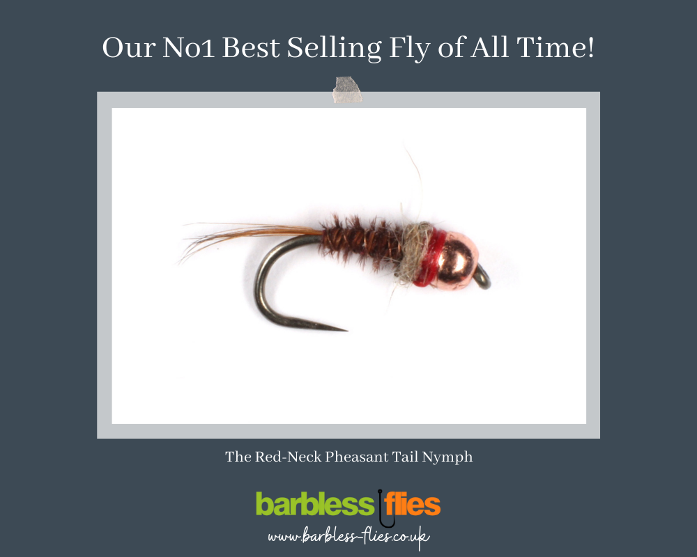 Jumbo Tungsten Nymph Selection