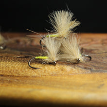 Load image into Gallery viewer, Bosnian CdC Olives
