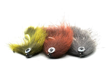 Load image into Gallery viewer, Bosnian Pine Squirrel Zonker (Bjelica)
