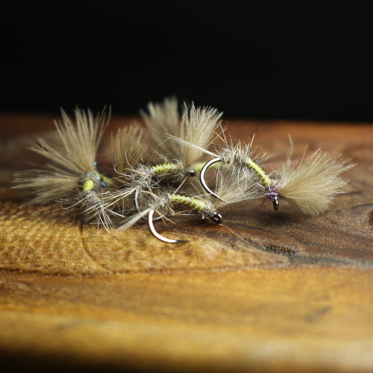 Bosnian CdC Olives
