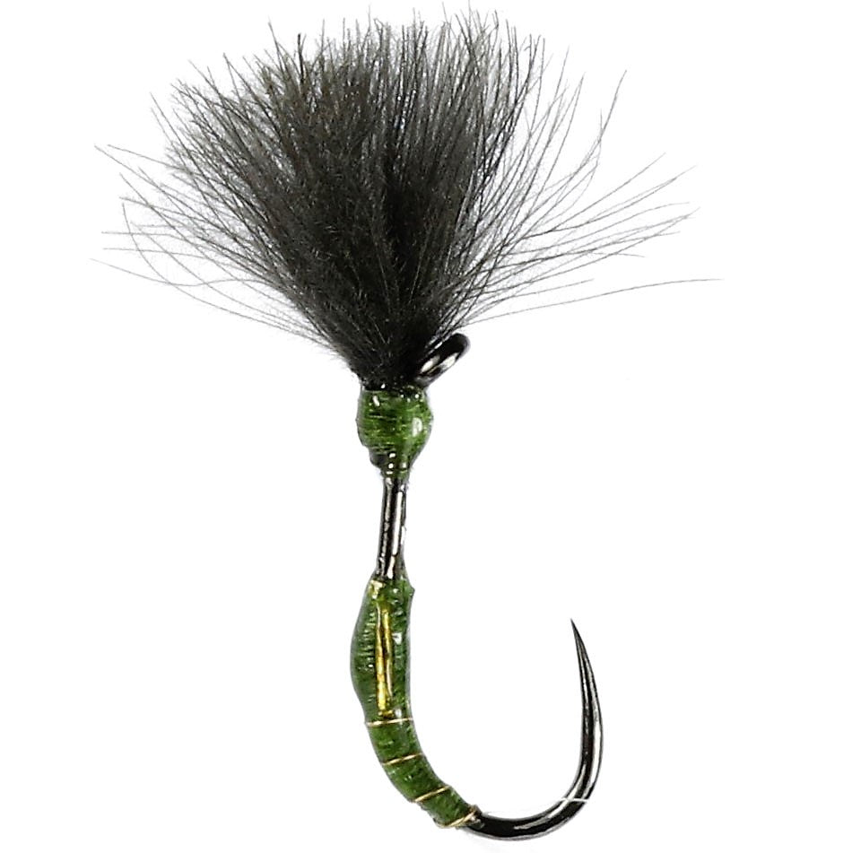 Olive Buzzer Shuttle