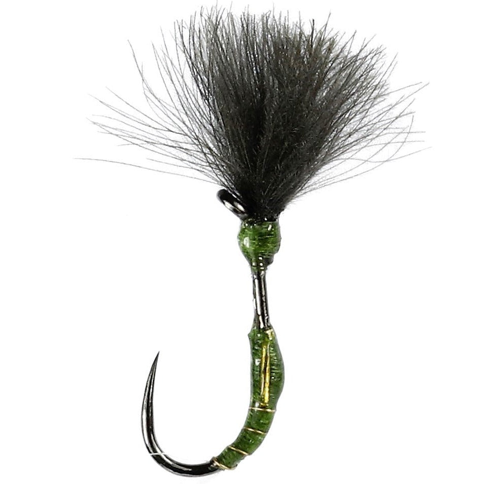Olive Buzzer Shuttle
