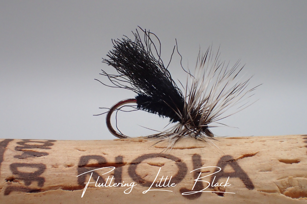 Artisan 'Indian Summer' Selection