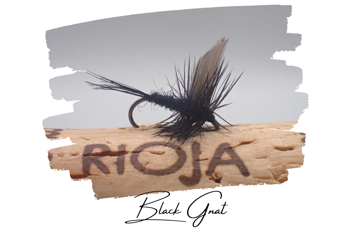 Black Gnat