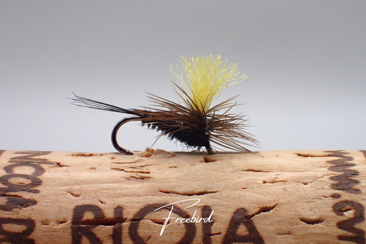Artisan 'Indian Summer' Selection