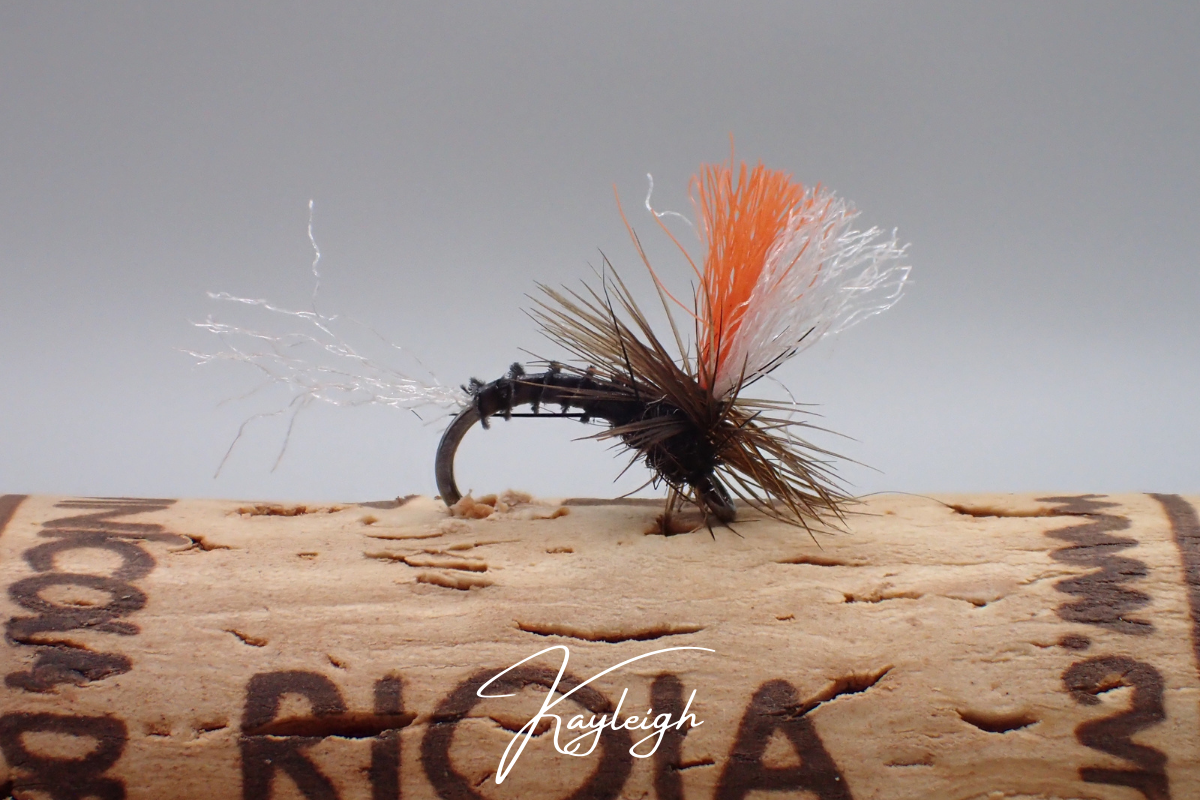 Artisan 'Indian Summer' Selection