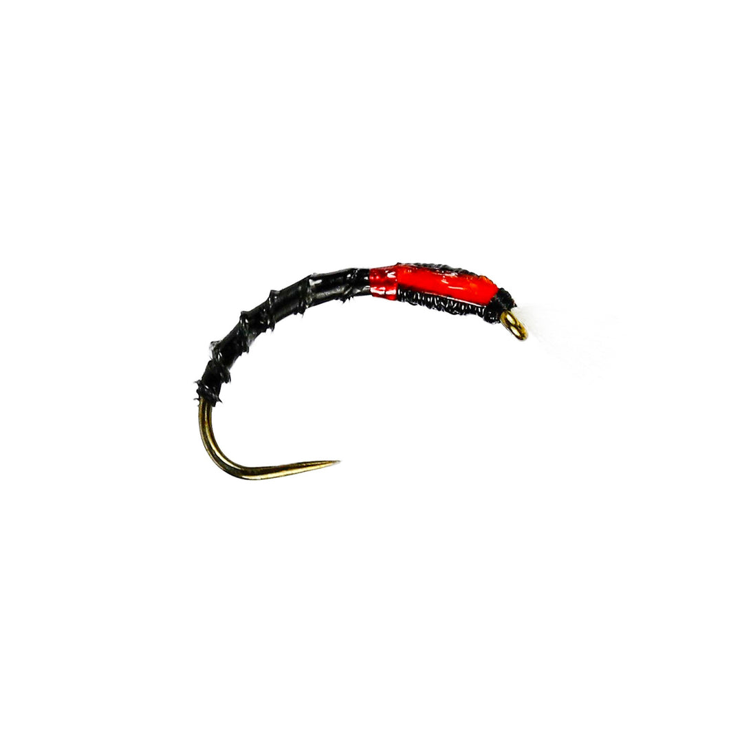 Black Quill Buzzer