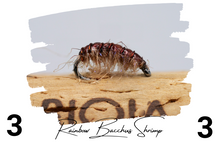 Load image into Gallery viewer, The Rainbow Bacchus Bug
