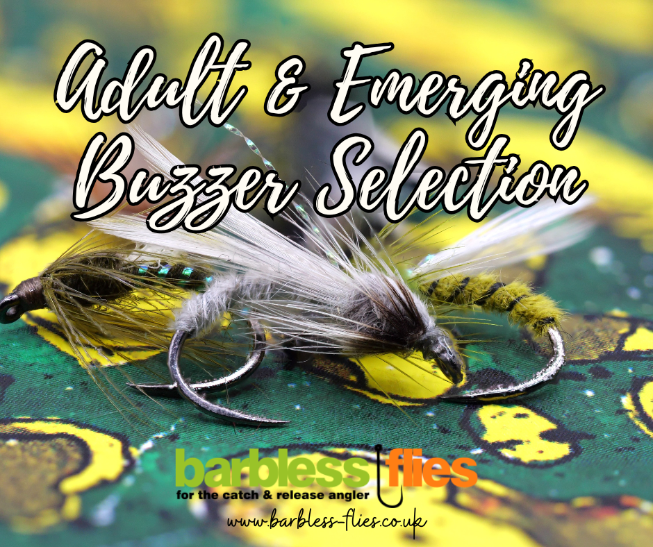 The Adult & Emerging Buzzer Selection