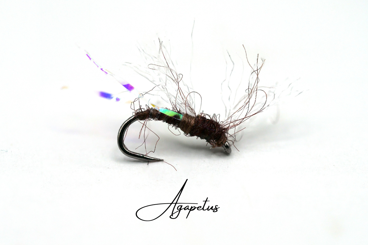 Agapetus