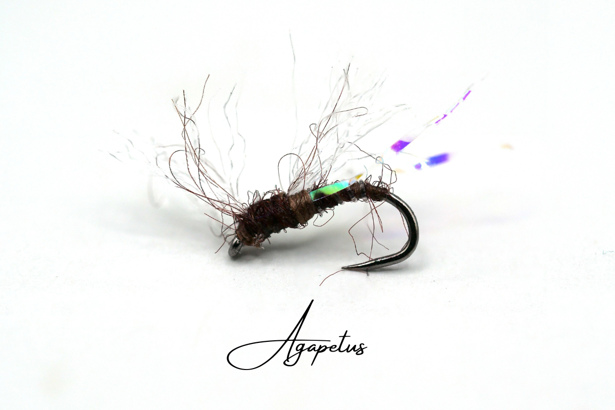 Agapetus
