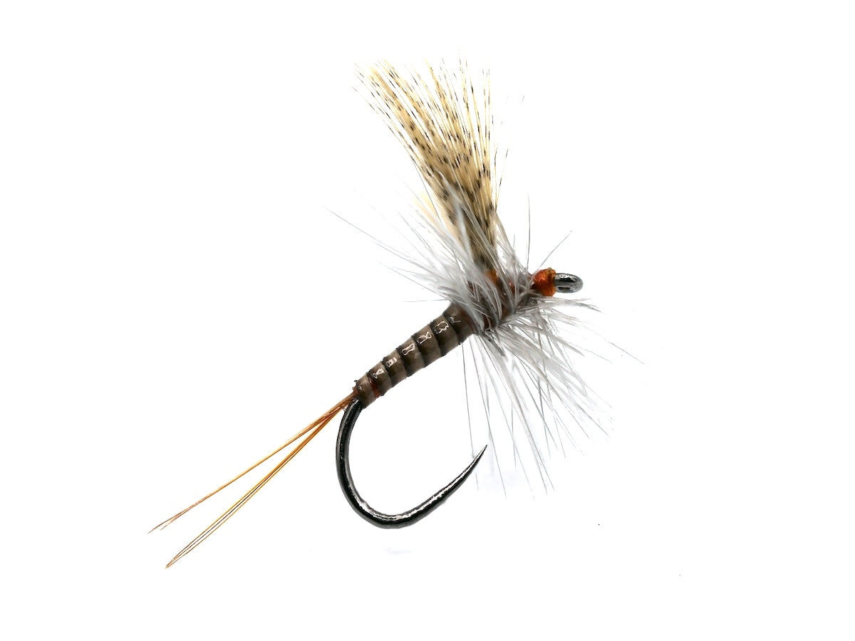 Catskill Quill Gordon (Mallard)