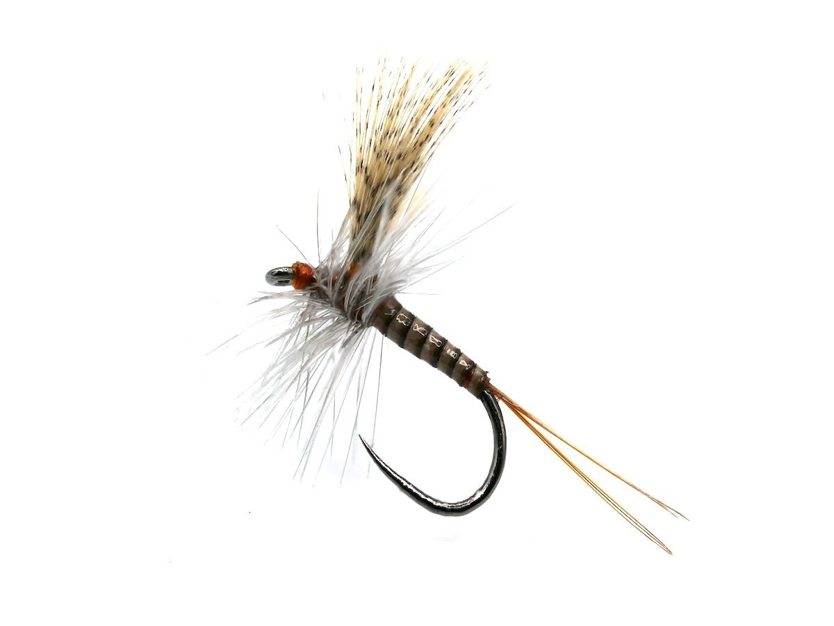 Catskill Quill Gordon (Mallard)
