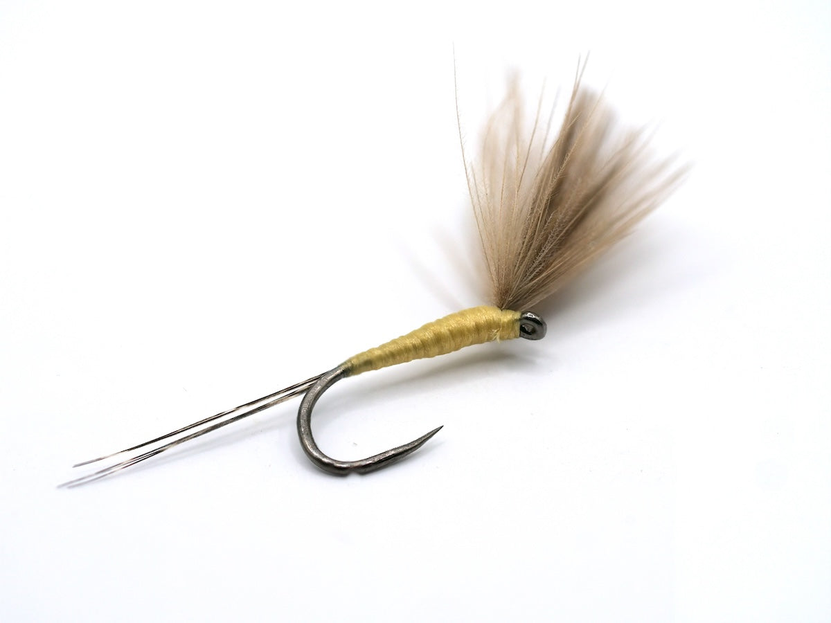 Skinny Yellow Dun