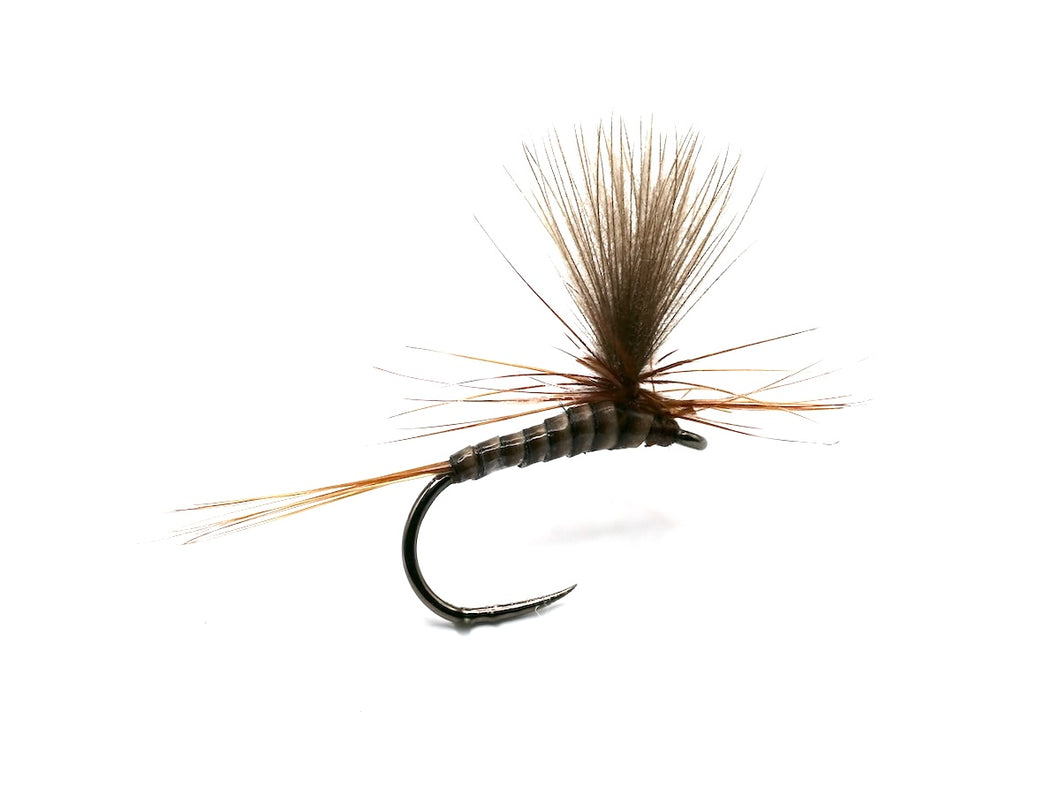 Catskill Quill Upright
