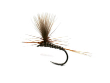 Load image into Gallery viewer, Catskill Quill Upright
